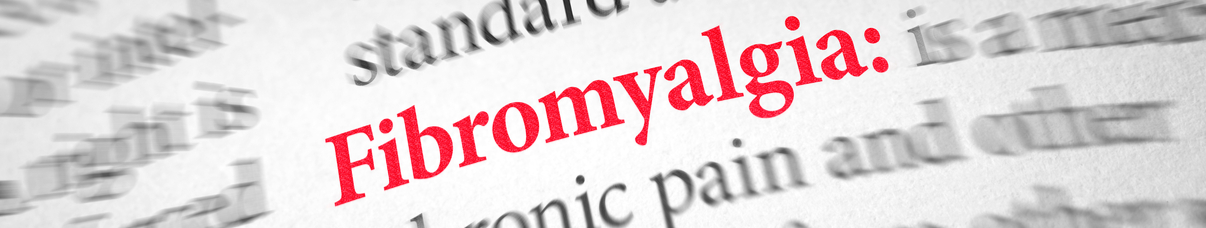 צליפת שוט - תמונת אווירה